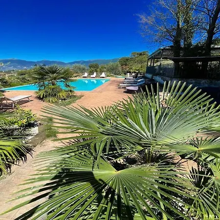Spoleto-poolside-sleeps 24central Spoleto 09 Kmwifiairconall Exc Yours شقة *